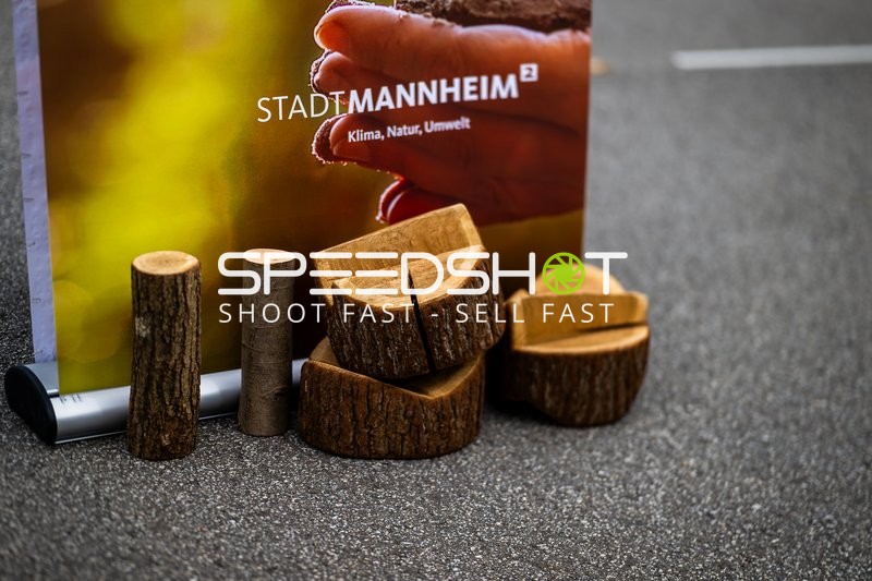 Spielfeld-Impression ohne Aktion