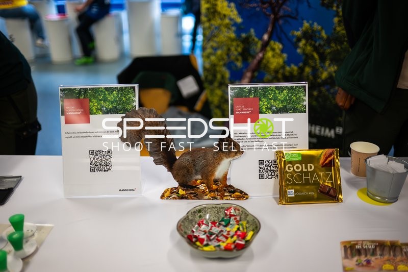 Spielfeldszene ohne Aktion