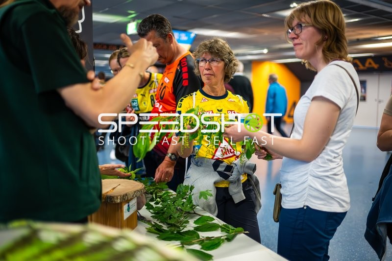 Handball Halle Impression