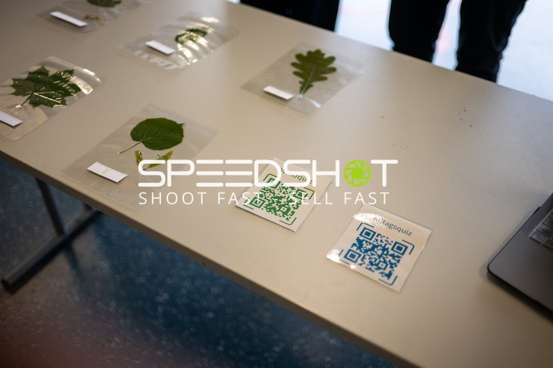 Spielfeld-Impression ohne Aktion