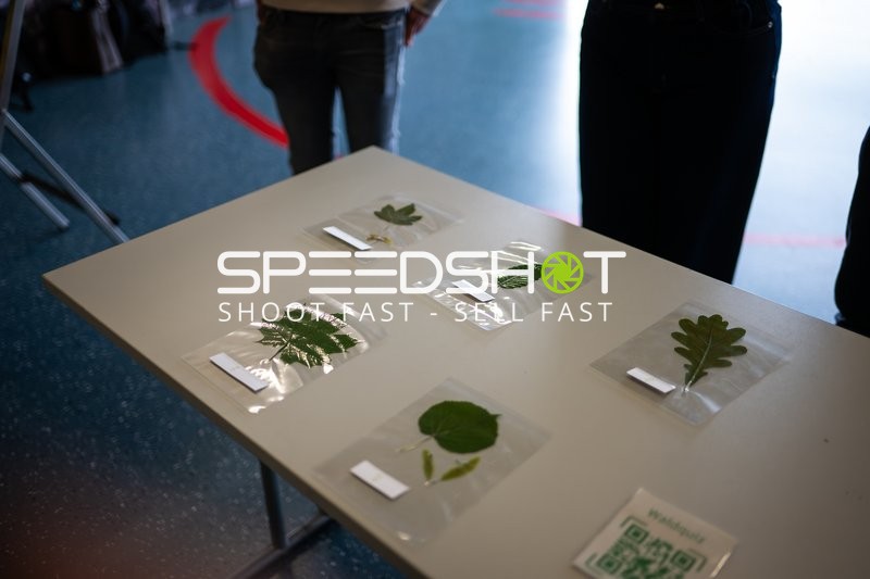 Handball-Spielfeld-Impression