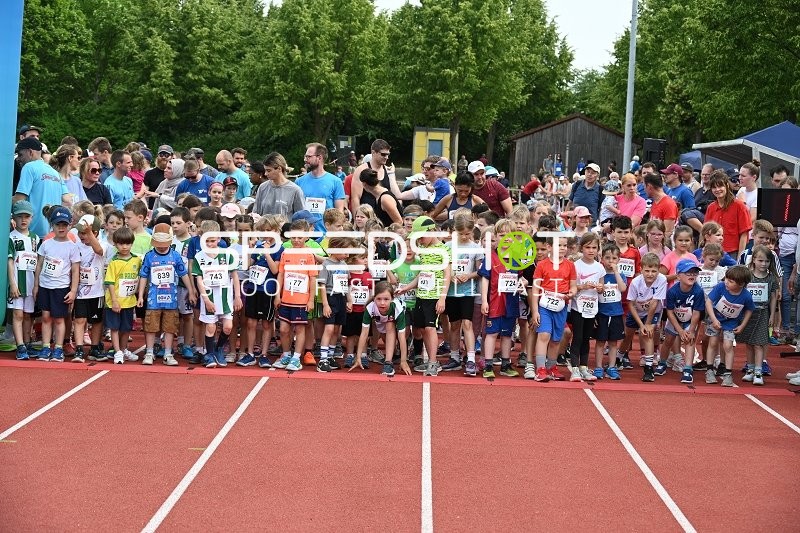 Startaufstellung beim TVE Sommerlauf Edingen 2025