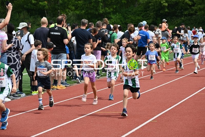 TVE Sommerlauf Edingen 2025