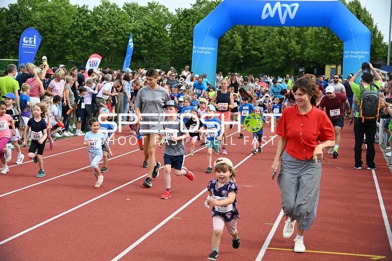 Start TVE Sommerlauf Edingen