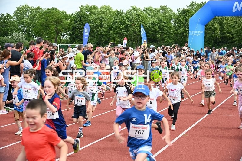 TVE Sommerlauf Edingen 2025 Start