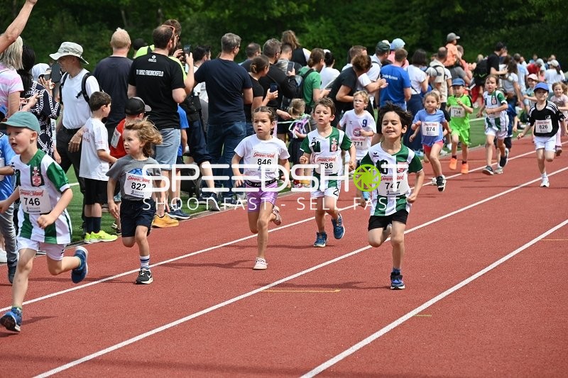 TVE Sommerlauf Edingen 2025