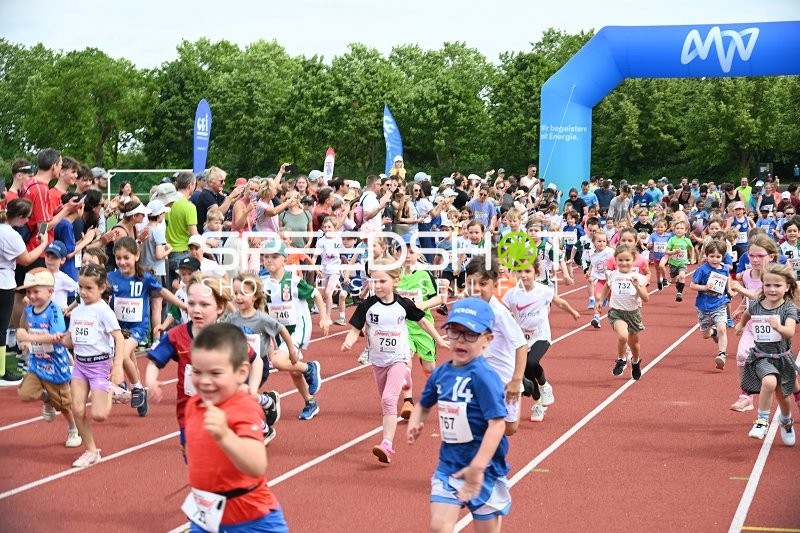 TVE Sommerlauf Edingen 2025 Start