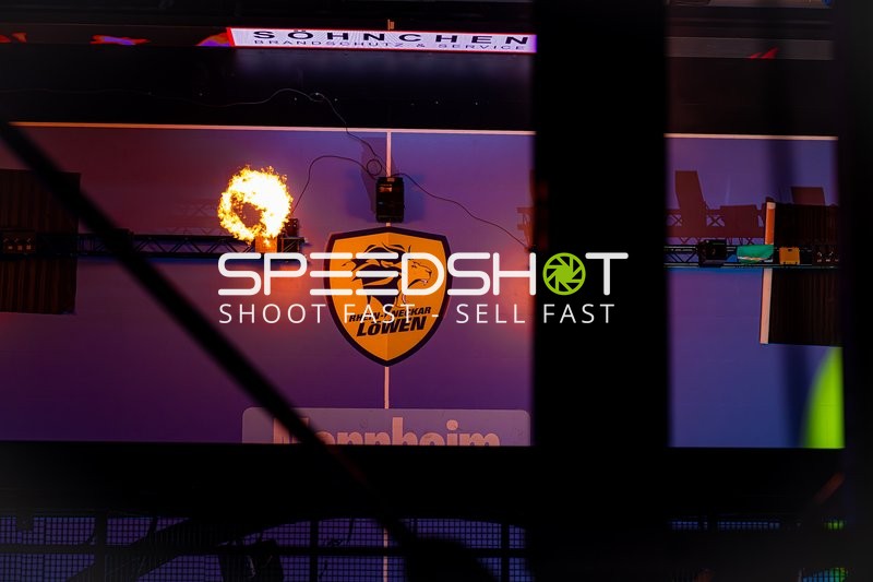 Rhein-Neckar Löwen Logo in Halle