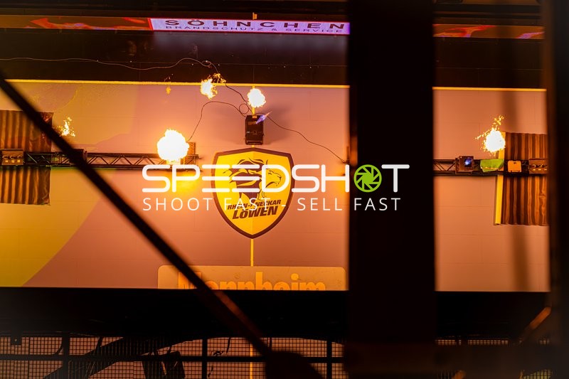 Rhein-Neckar Löwen Logo