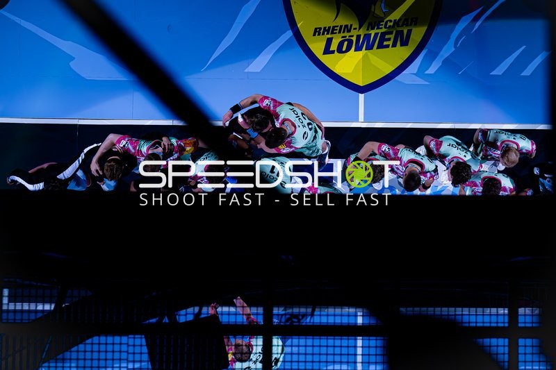 Rhein-Neckar Löwen Spieler in Halle