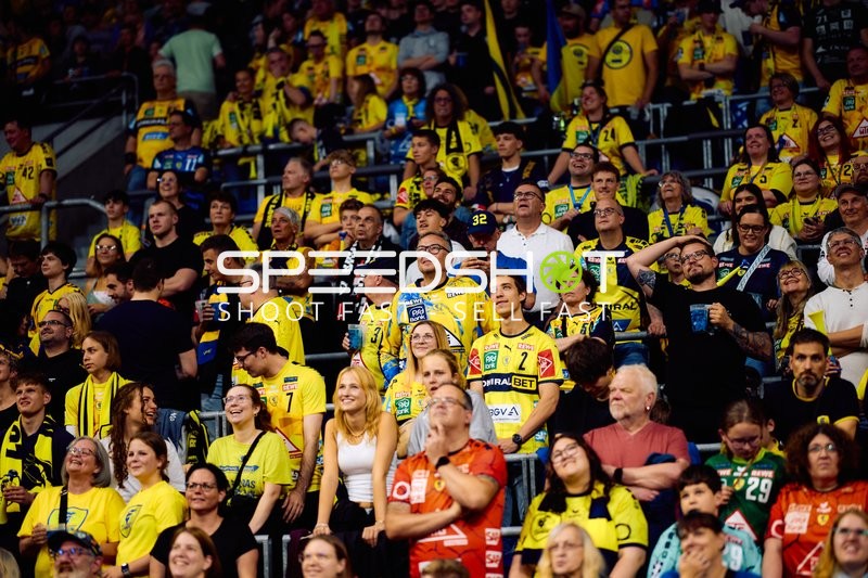 Fans der Rhein-Neckar Löwen