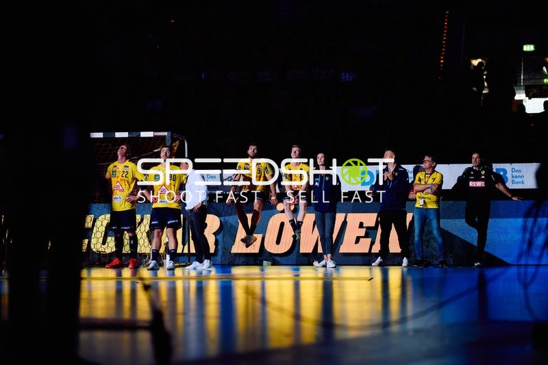 Rhein Neckar Löwen in Position