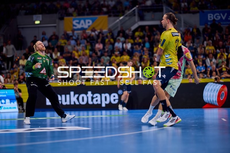 Torwart Mikael Appelgren (1; Rhein Neckar Löwen) in Position