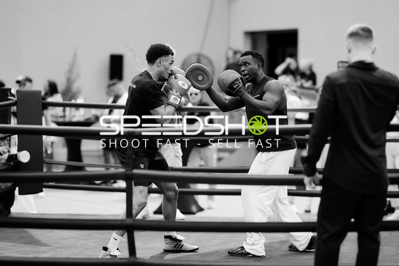 Ringside-Zone Face-Off