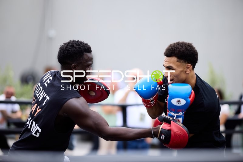 Boxer im Training und Schlagabtausch