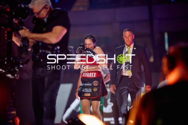 Boxerin in Kampfhaltung