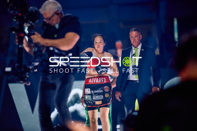 Boxerin in Ringside Zone