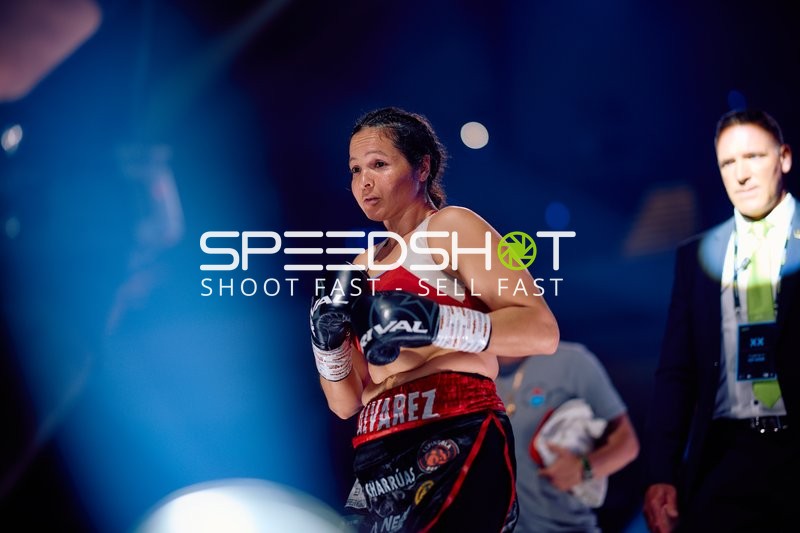 Boxerin in Ringside Zone