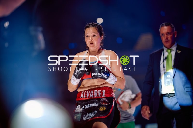 Boxerin in Ringside Zone