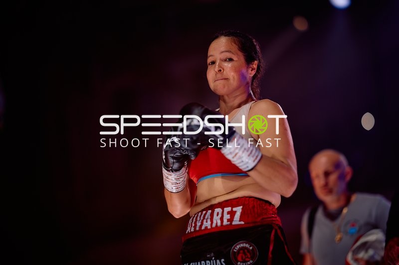 Boxerin in Ringside Zone