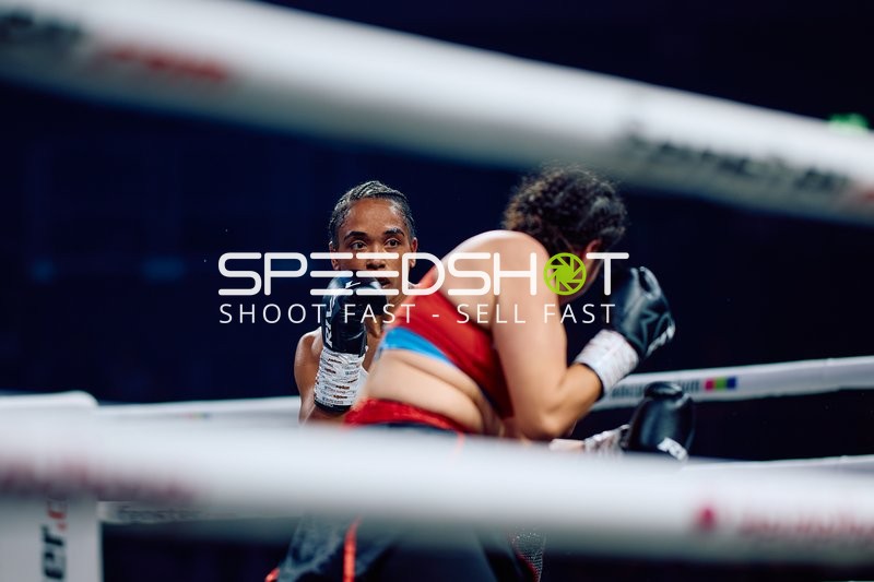 Boxkampf in Ringside Zone