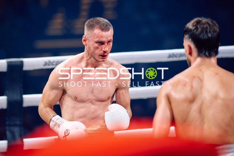 Boxer in Ringside Zone