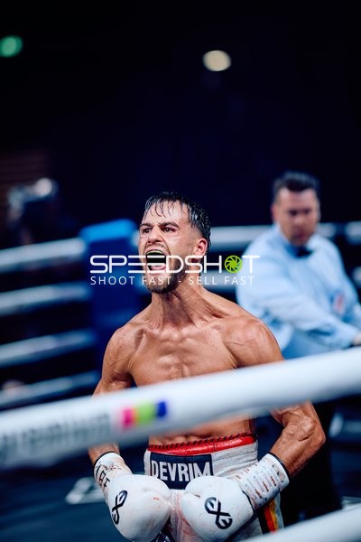 Boxer in Ringside Zone