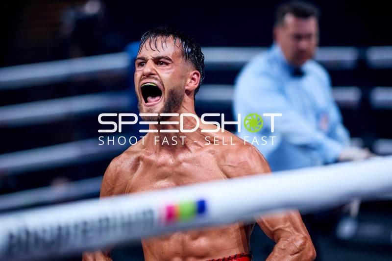 Boxer in Ringside Zone