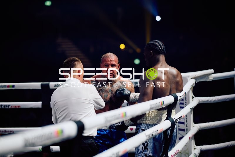 Boxer in Ringside Zone