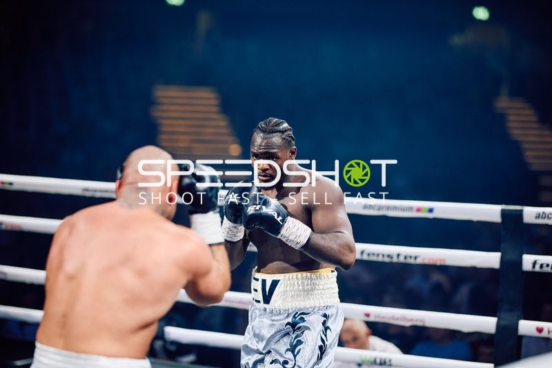 Boxer in Ringside Zone