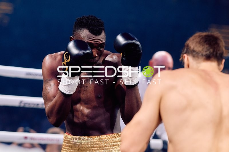 Boxer in Ringside Zone