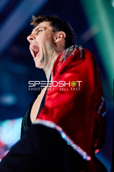 Boxer in Ringside Zone