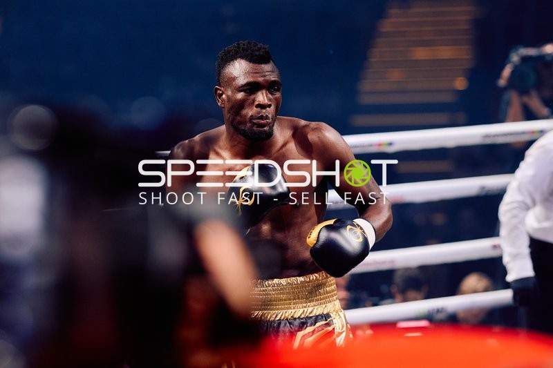 Boxer in Ringside Zone