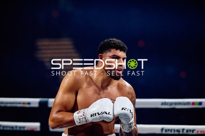 Boxer Schwergewicht in Aktion