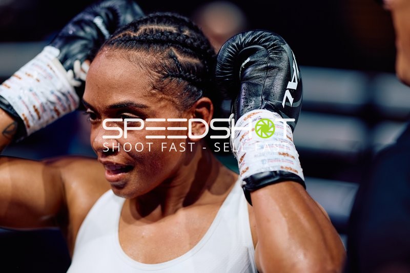 Boxerin in Ringside Zone