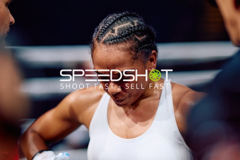 Boxerin in Ringside Zone