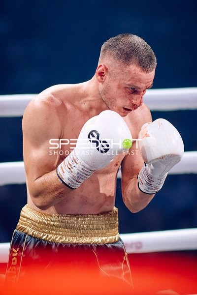 Boxer in Ringside Zone