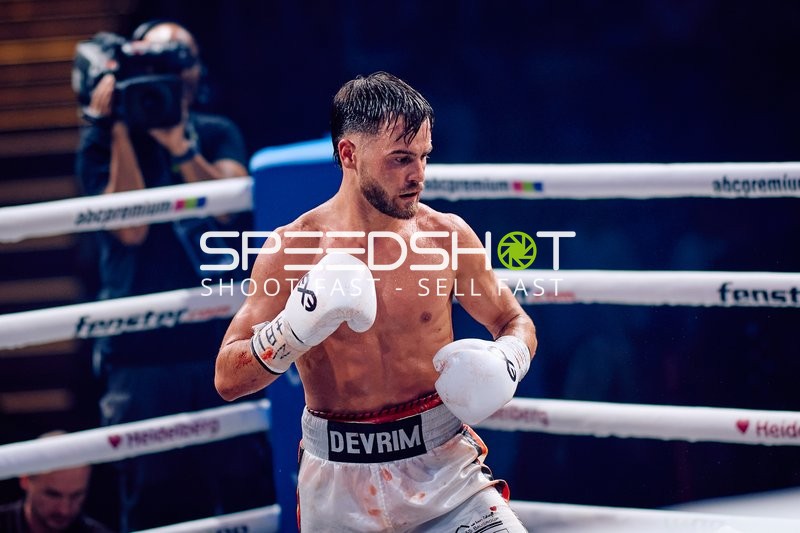 Boxer in Ringside Zone