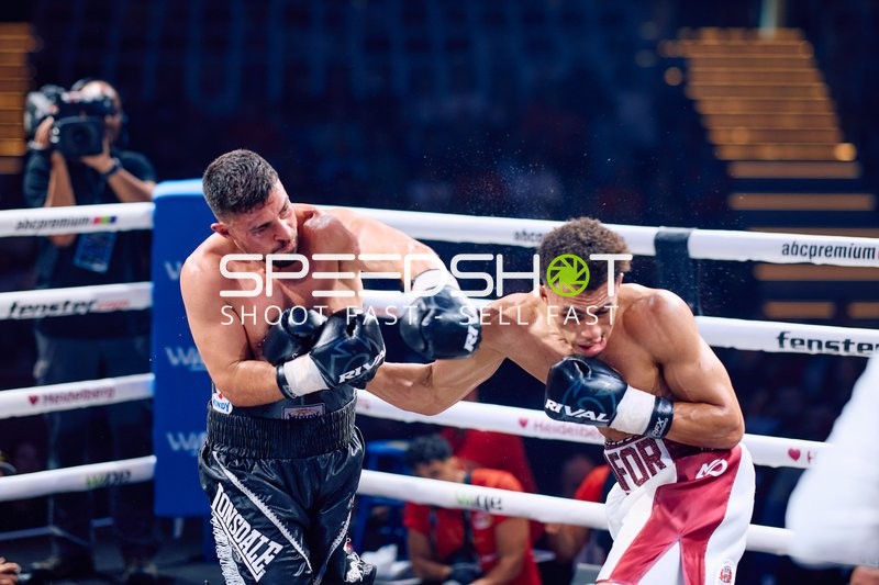 Boxer im Schlagabtausch