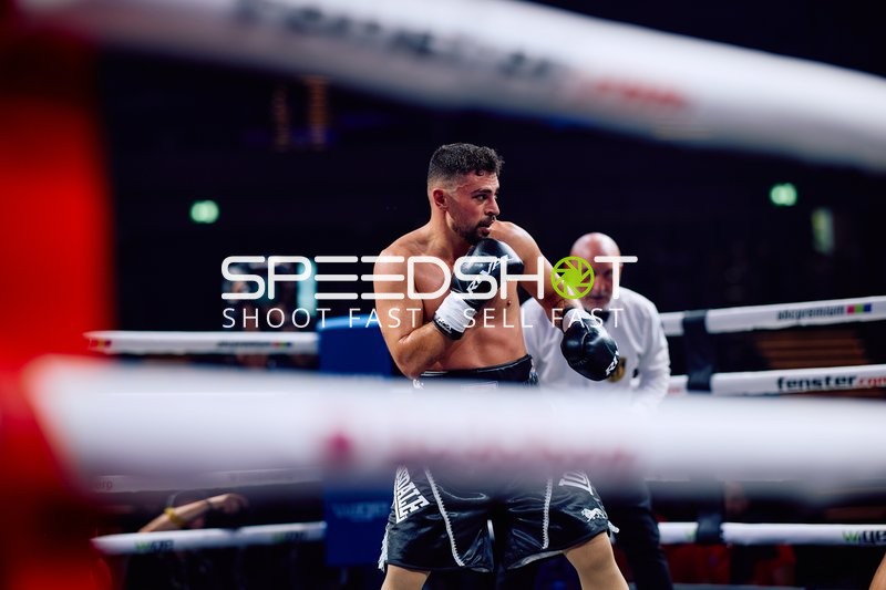 Boxer in Ringside Zone