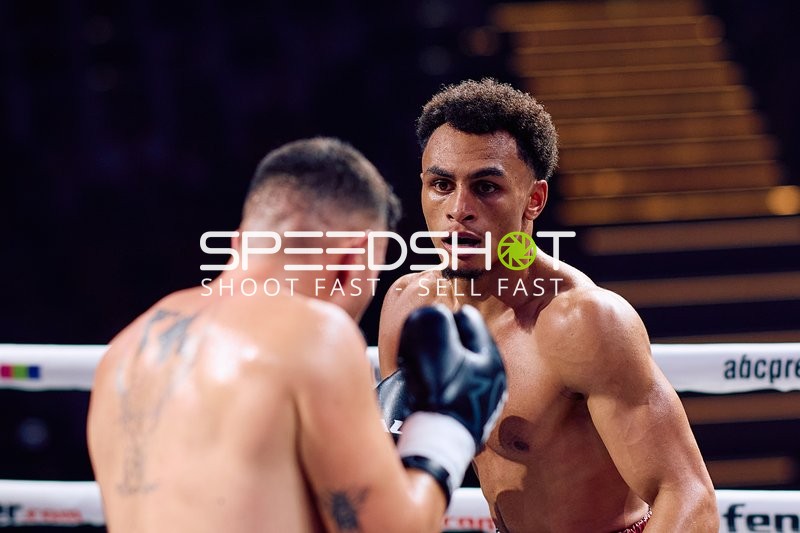 Boxer in Ringside Zone