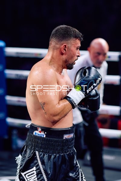 Boxer in Ringside Zone