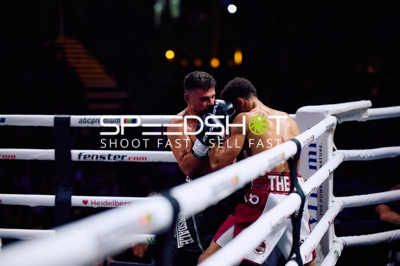 Boxer in Ringside Zone