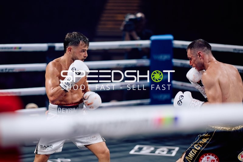 Boxer im Ringside Duell