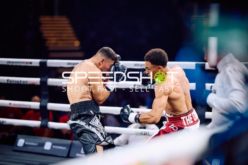 Boxer in Ringside Zone