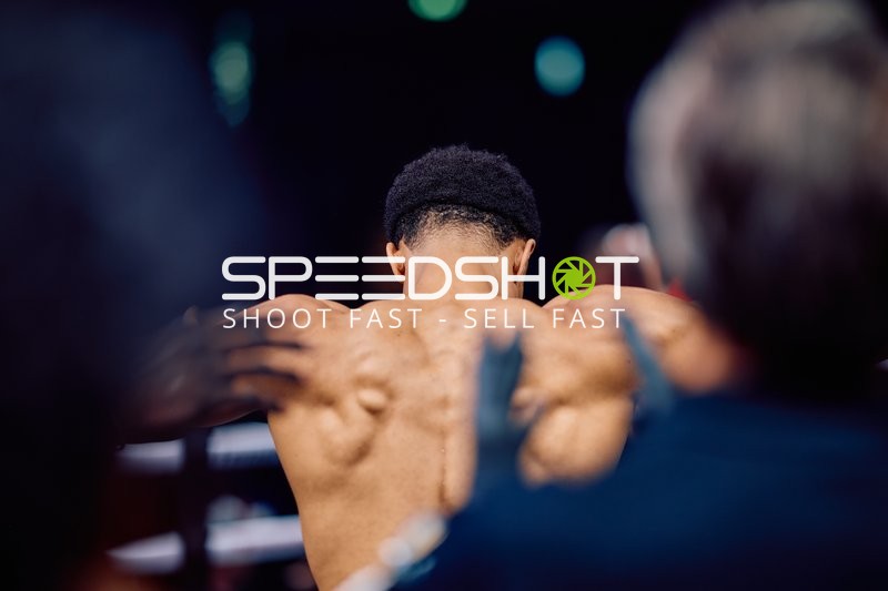 Boxer in Ringside Zone