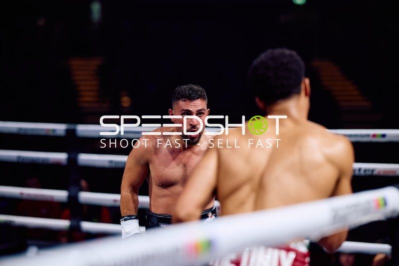 Boxer in Ringside Zone