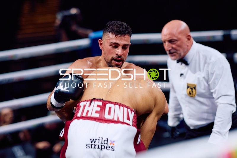 Boxer in Ringside Zone