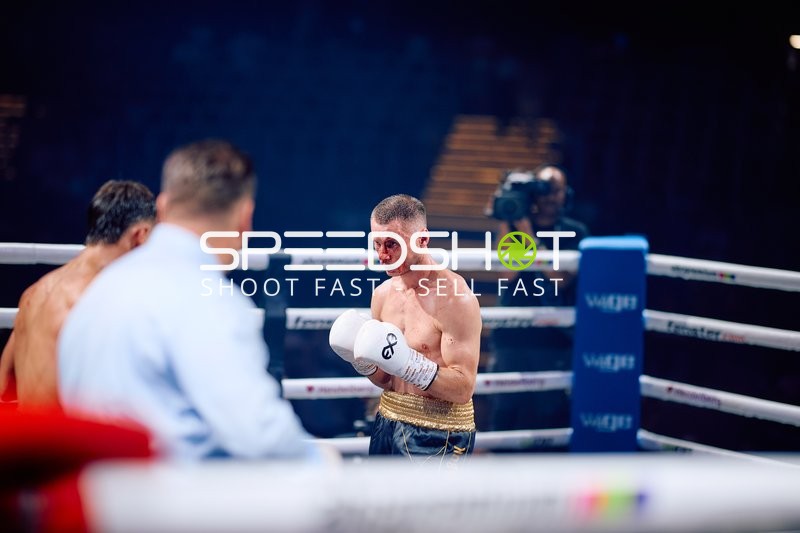 Boxer in Ringside Zone