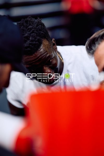 Boxer in Ringside Zone